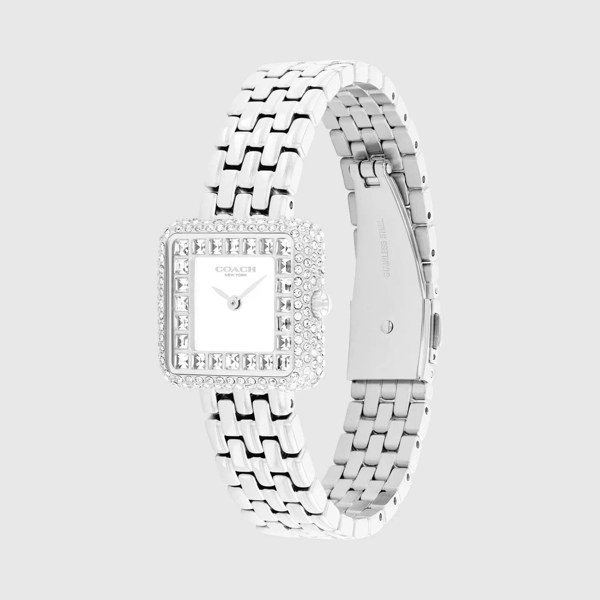 Ladies Cass Watch (14504558)