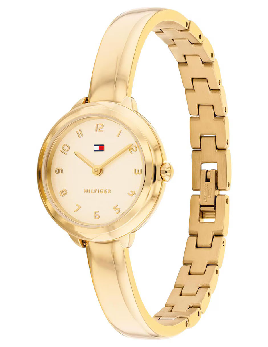 Ladies Demi Bangle Watch (1782895)