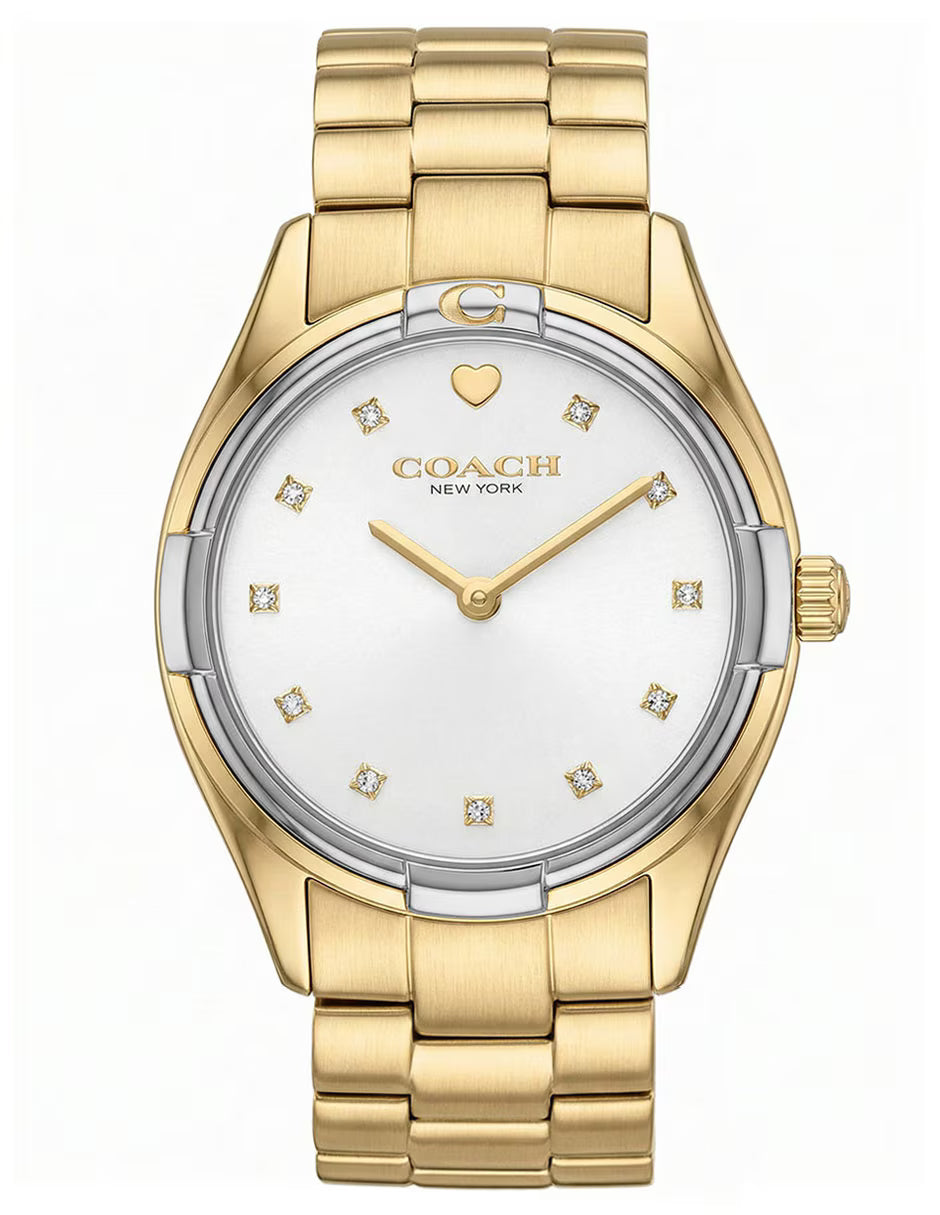 Ladies Brooks Watch (14504667)