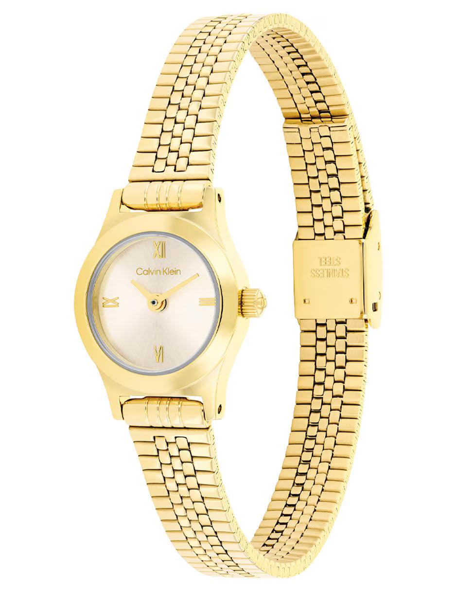 Ladies Contemporary Watch (25100201)
