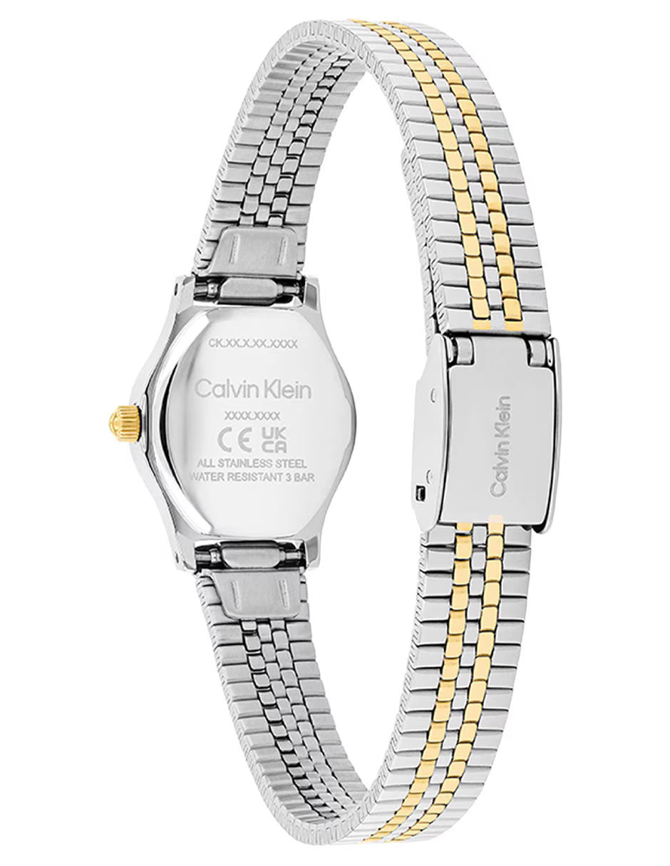 Ladies Contemporary Watch (25100202)