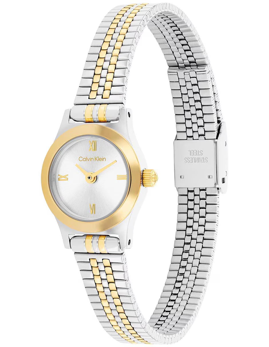 Ladies Contemporary Watch (25100207)
