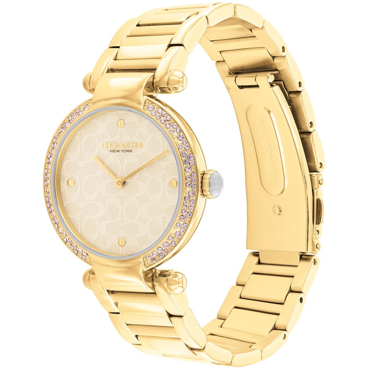 Ladies Cary Watch (14504183)