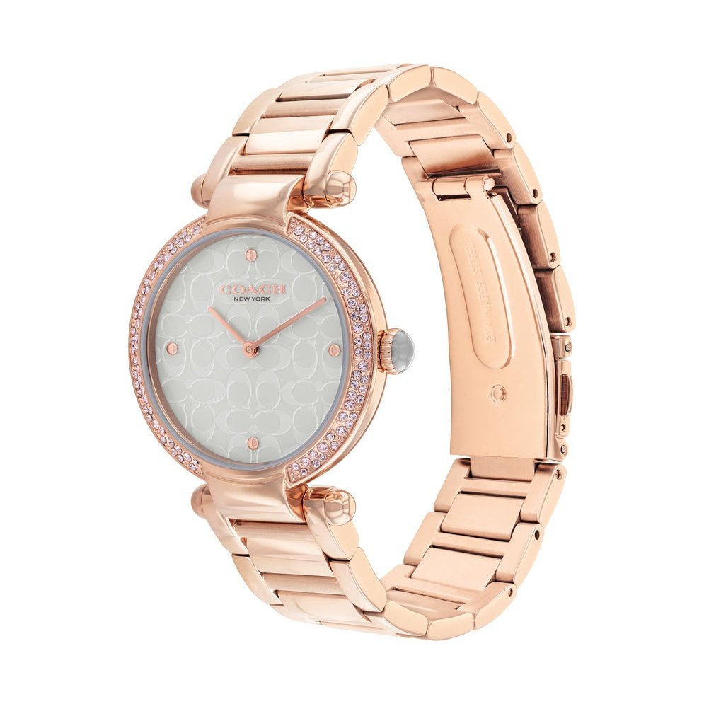 Ladies Cary Watch (14504184)