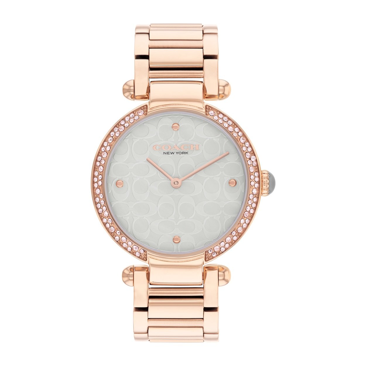 Ladies Cary Watch (14504184)