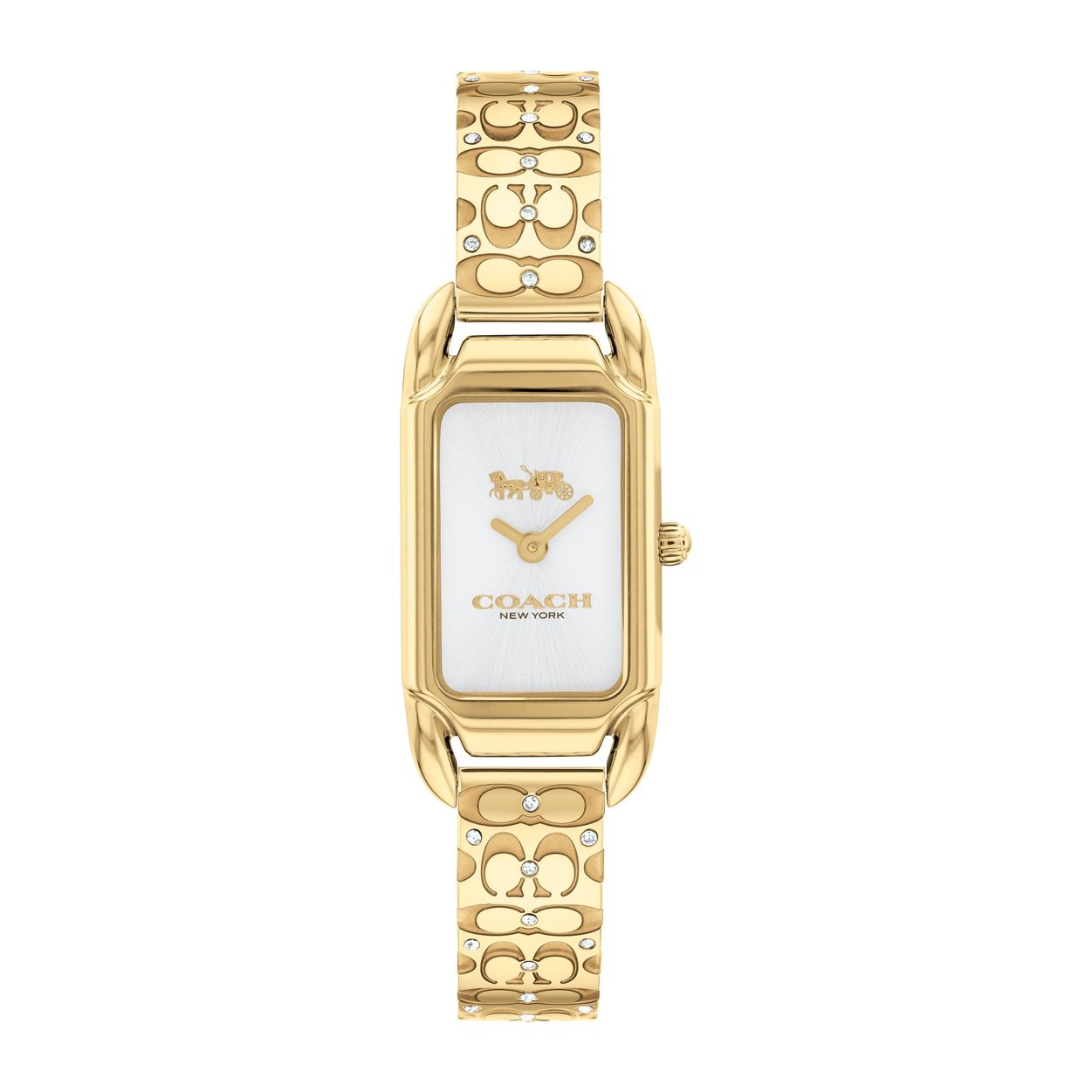 Ladies Cadie Watch (14504196)