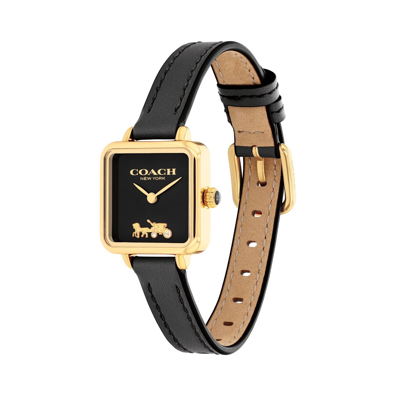 Ladies Cass Watch (14504225)
