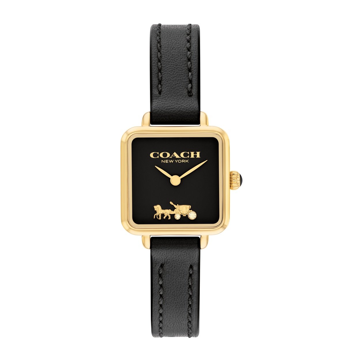 Ladies Cass Watch (14504225)