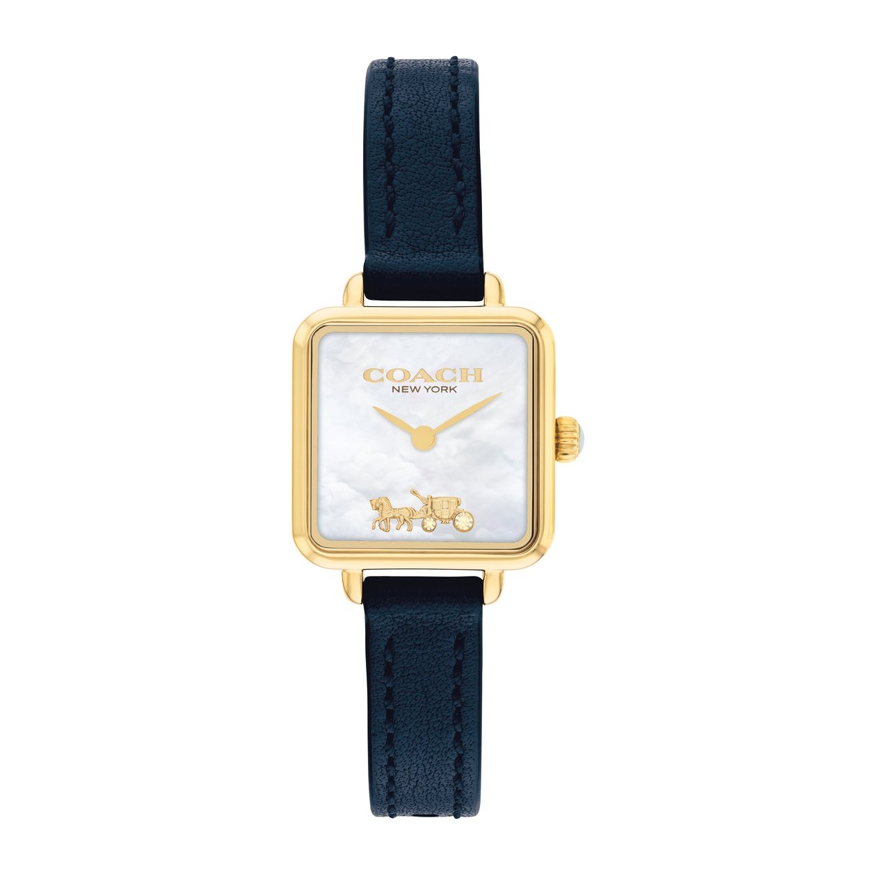 Ladies Cass Watch (14504228)