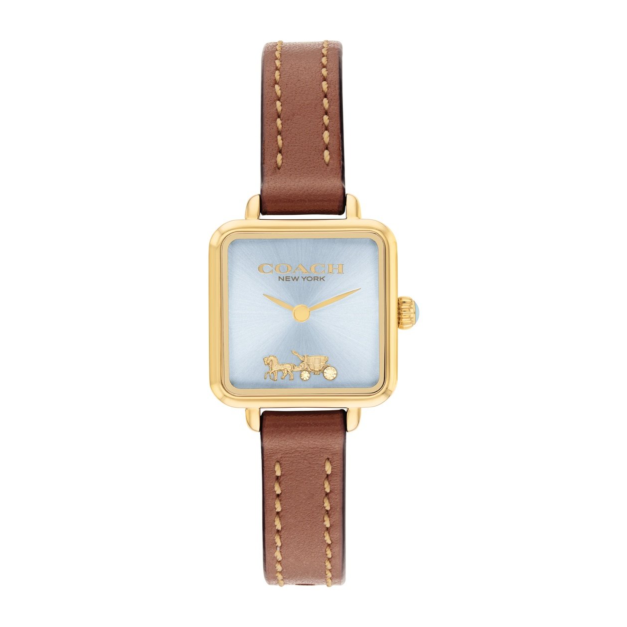 Ladies Cass Watch (14504231)