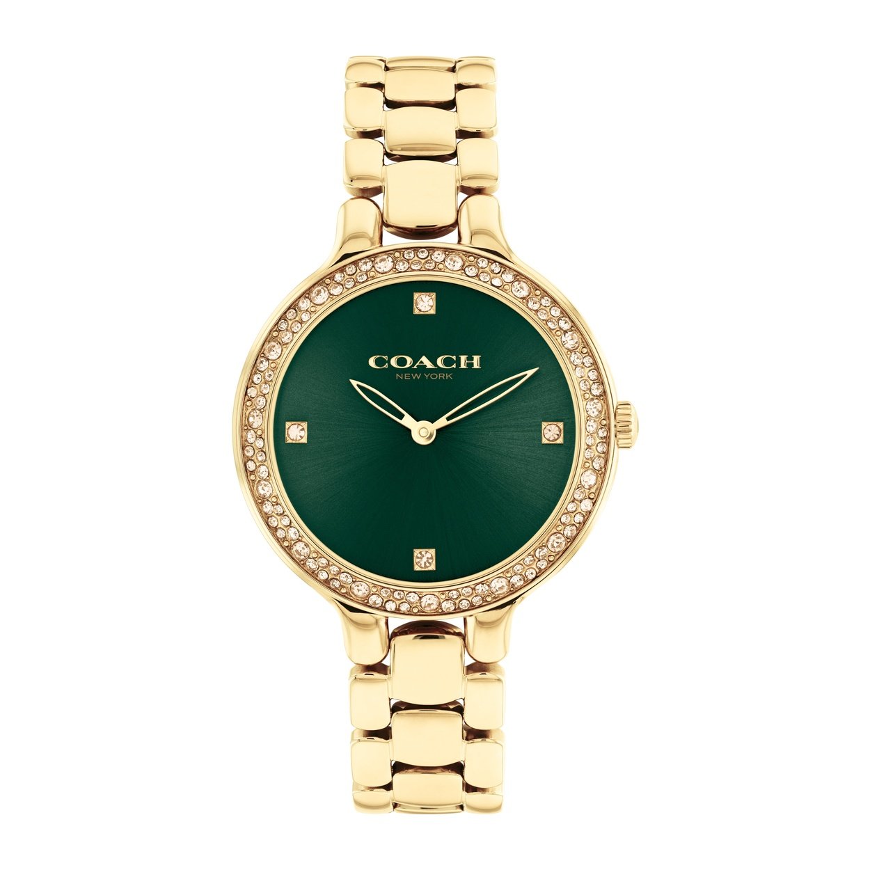 Ladies Chelsea Watch (14504251)