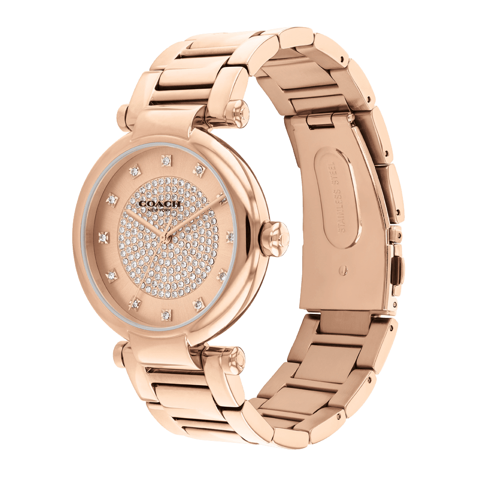 Ladies Cary Watch (14504254)