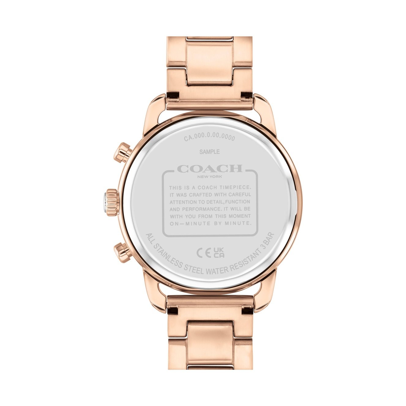 Ladies Cary Watch (14504255)