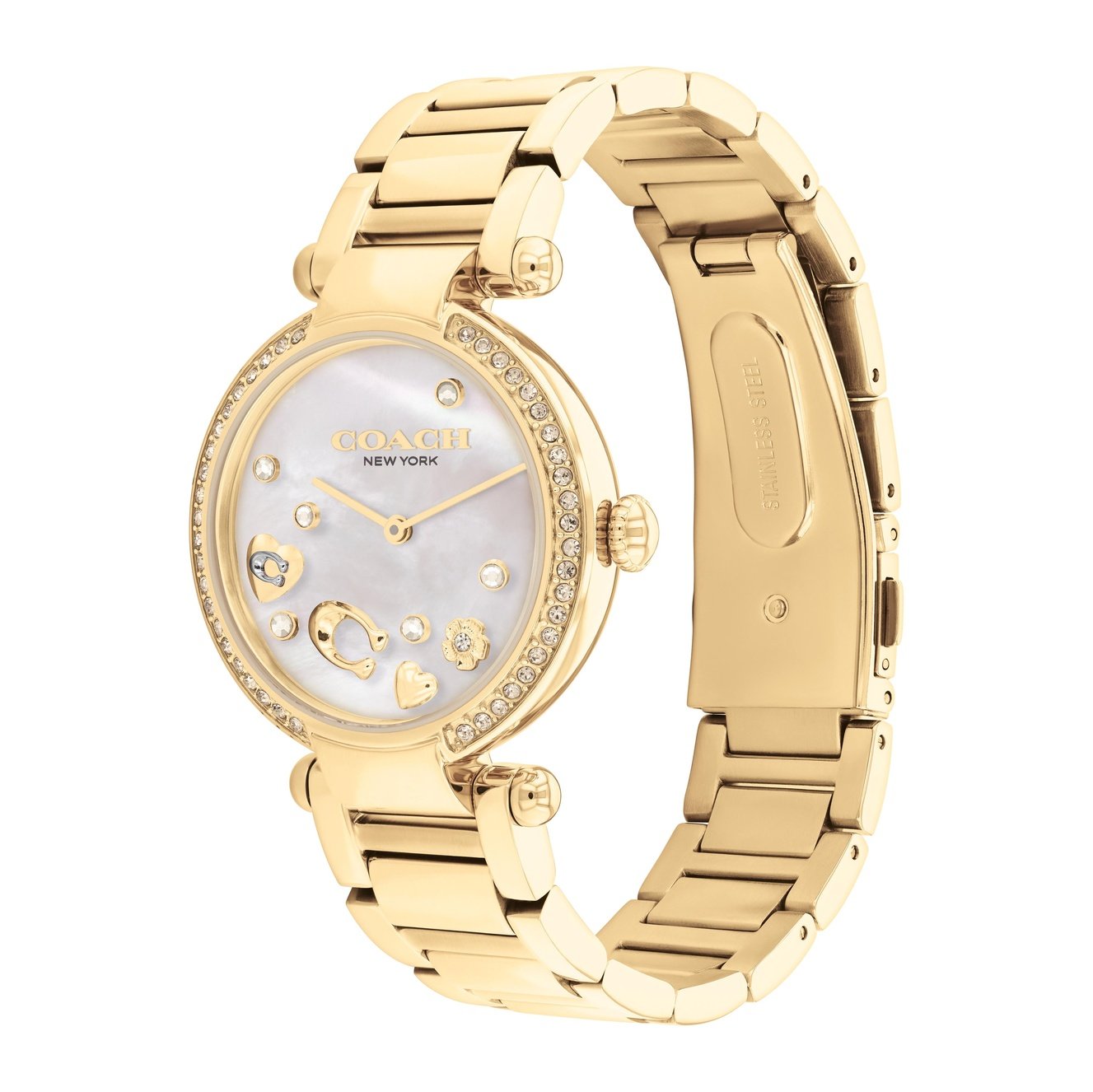 Ladies Cary Watch (14504265)