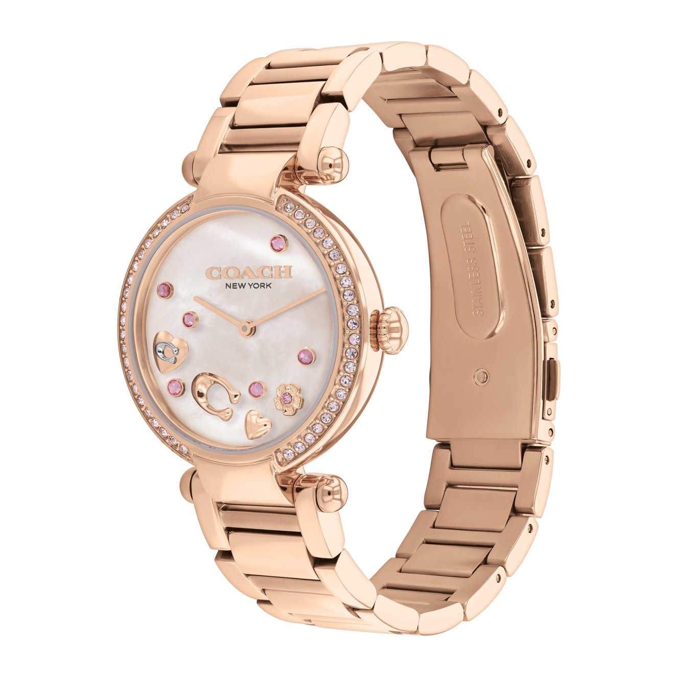 Ladies Cary Watch (14504266)