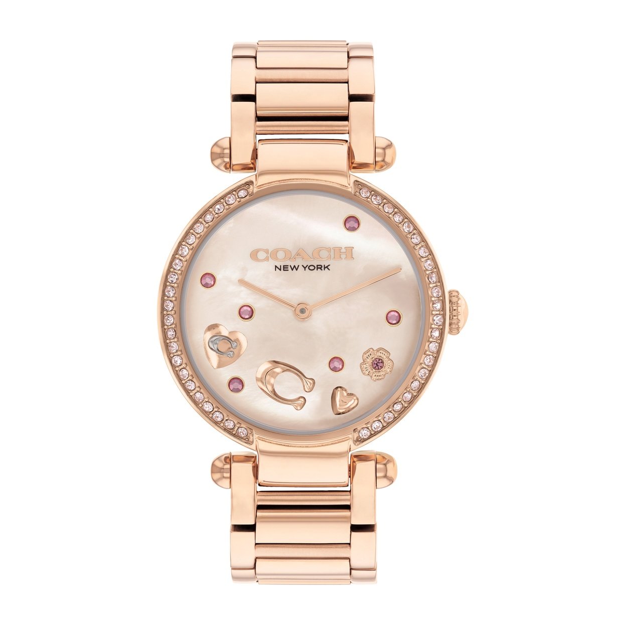 Ladies Cary Watch (14504266)