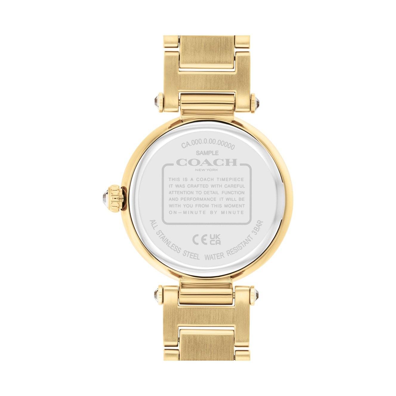 Ladies Cary Watch (14504268)