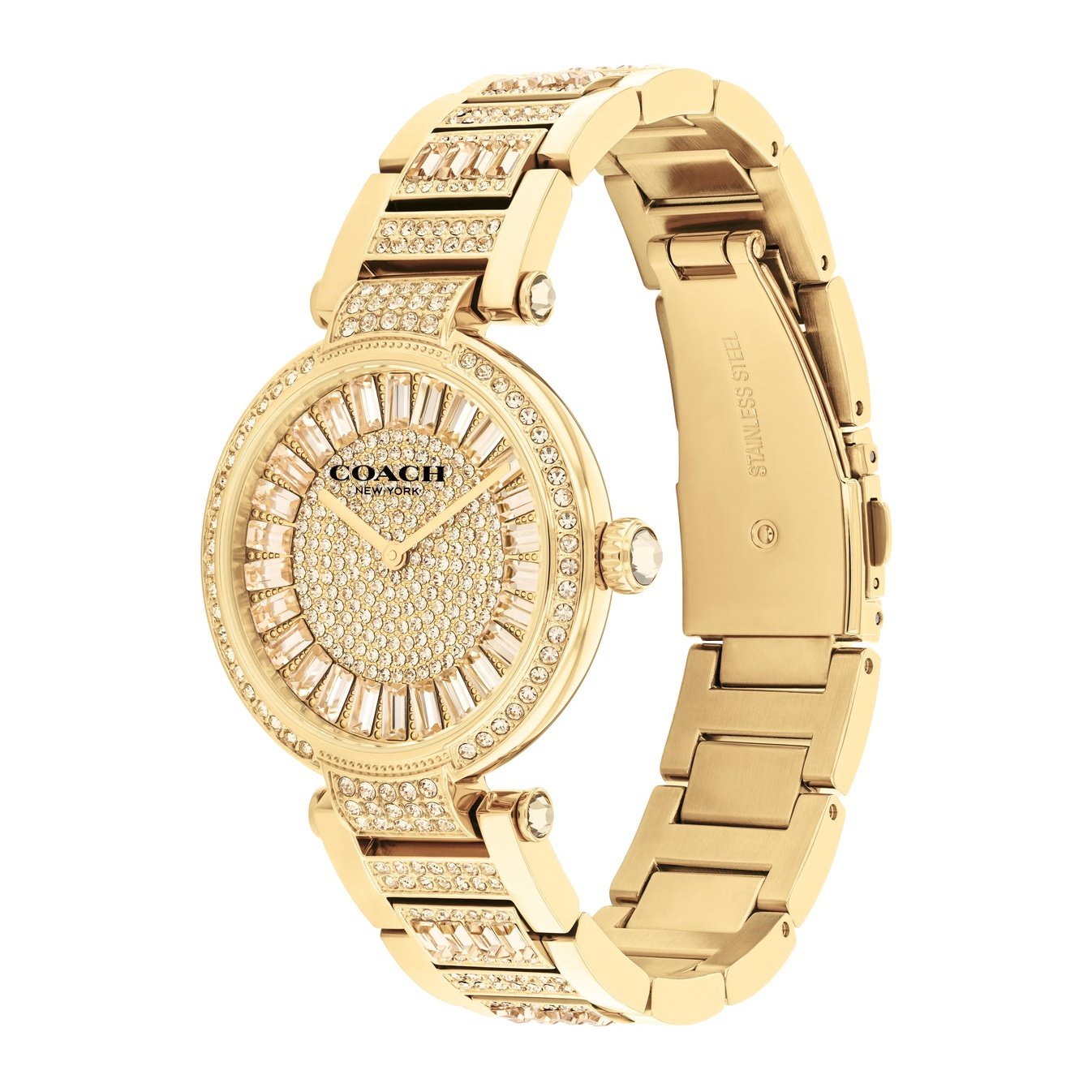 Ladies Cary Watch (14504268)