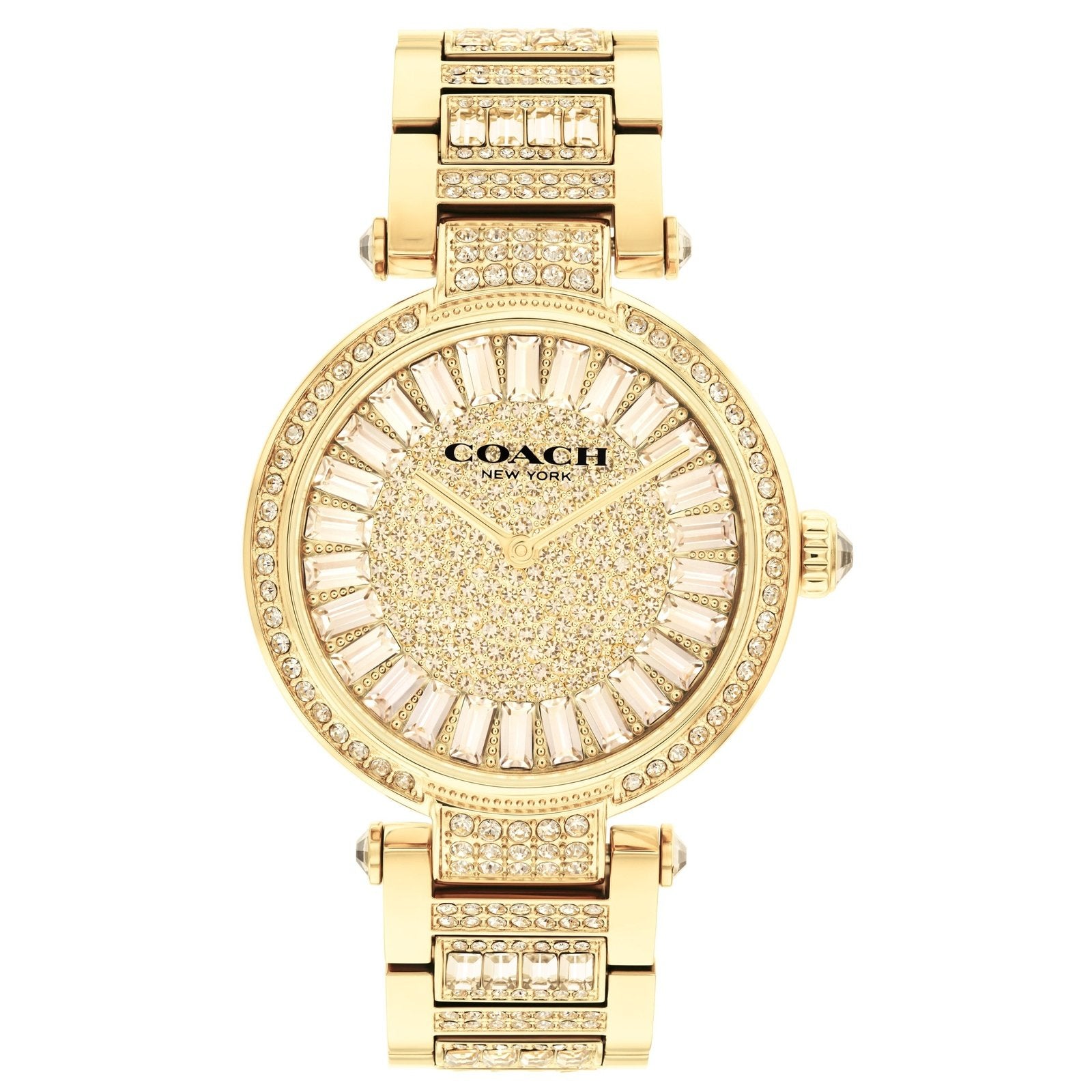 Ladies Cary Watch (14504268)
