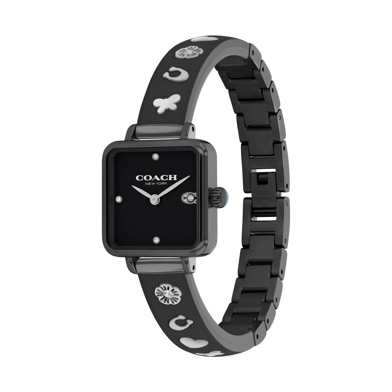 Ladies Cass Watch (14504307)