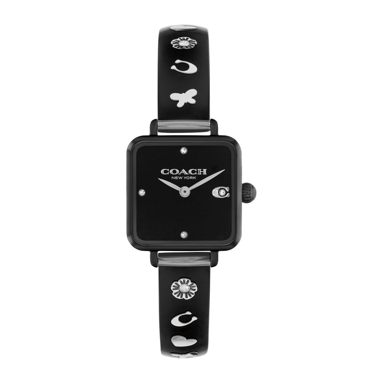 Ladies Cass Watch (14504307)