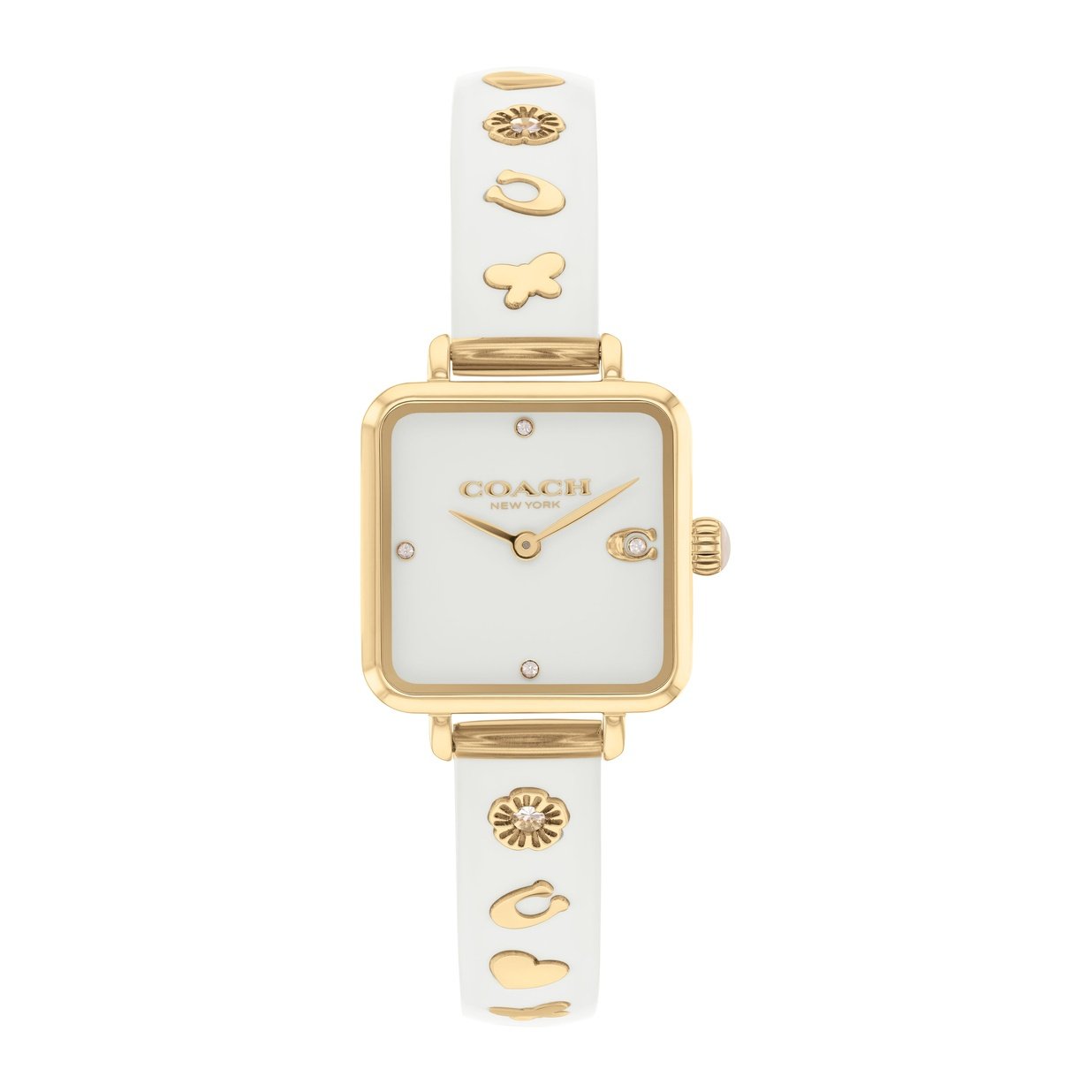 Ladies Cass Watch (14504308)