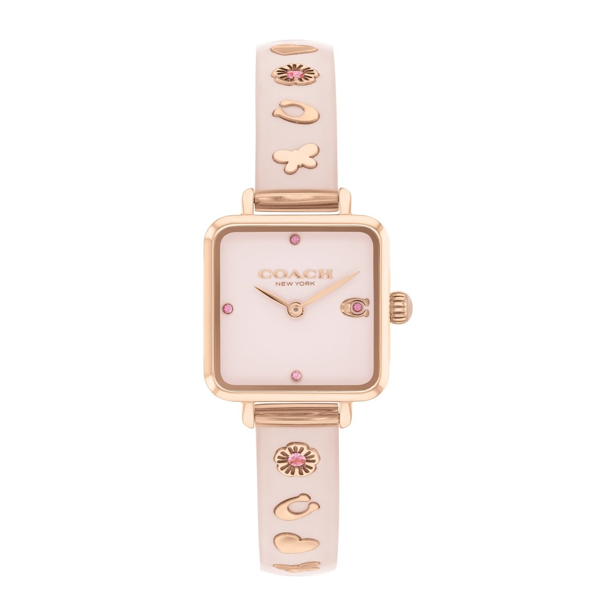 Ladies Cass Watch (14504309)