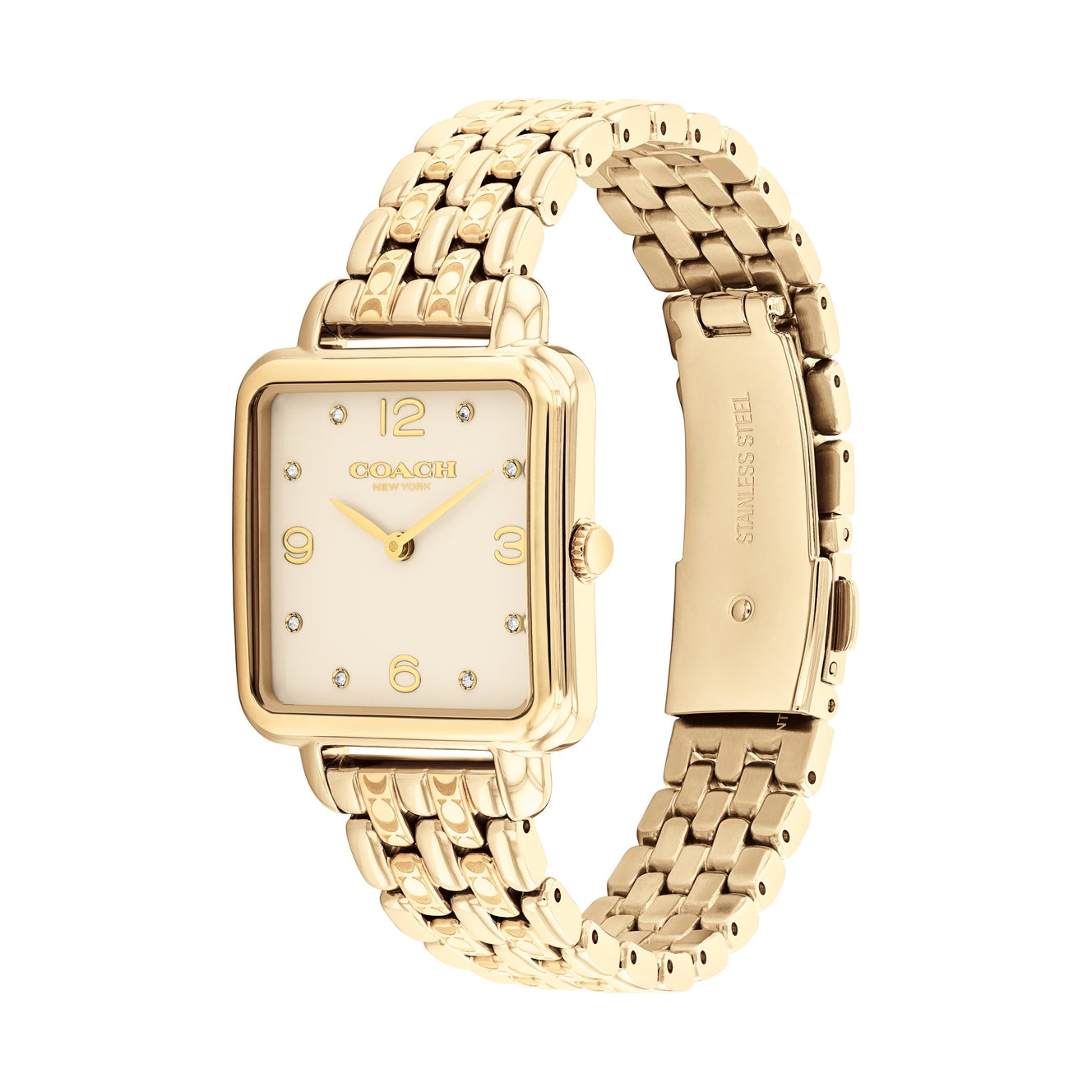 Ladies Cass Watch (14504495)