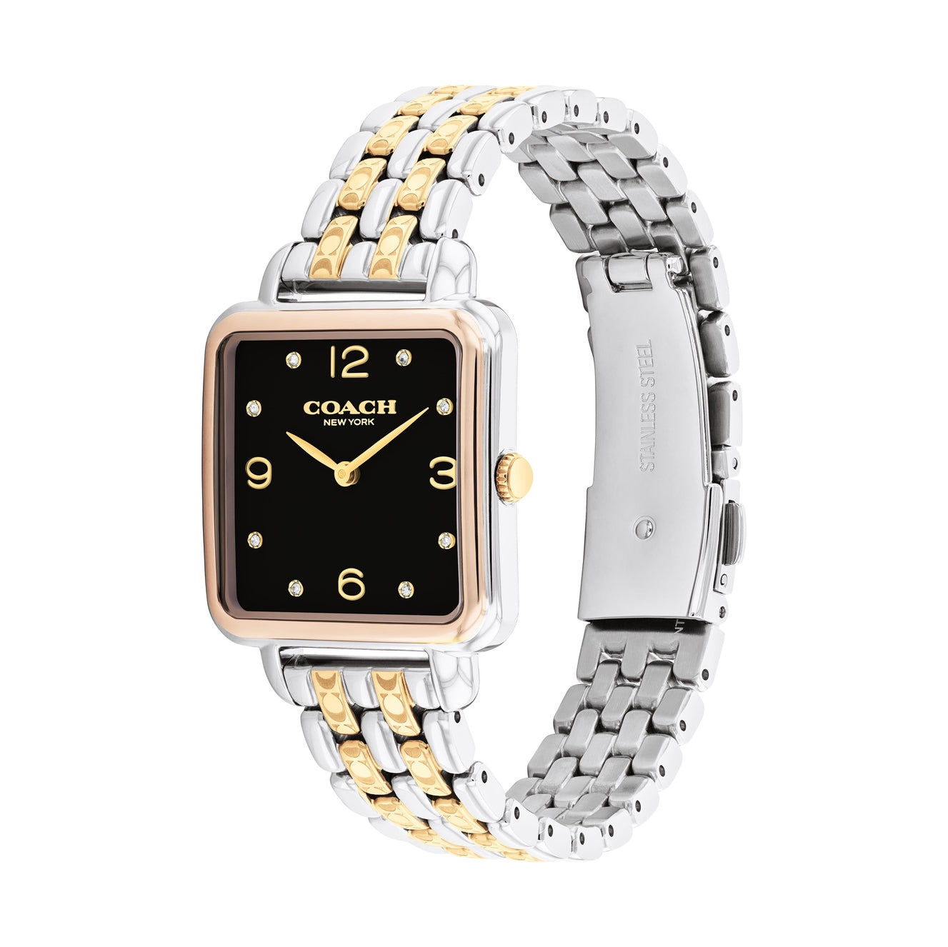 Ladies Cass Watch (14504496)