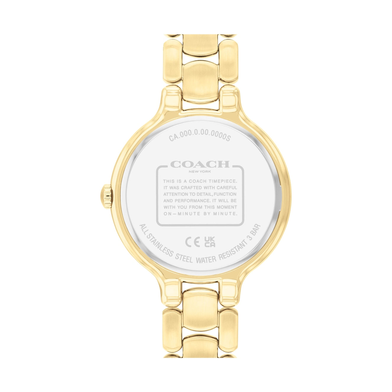 Ladies Chelse A Watch (14504500)