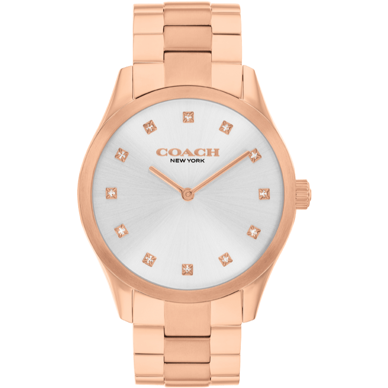 Ladies Brooks Watch (14504538)