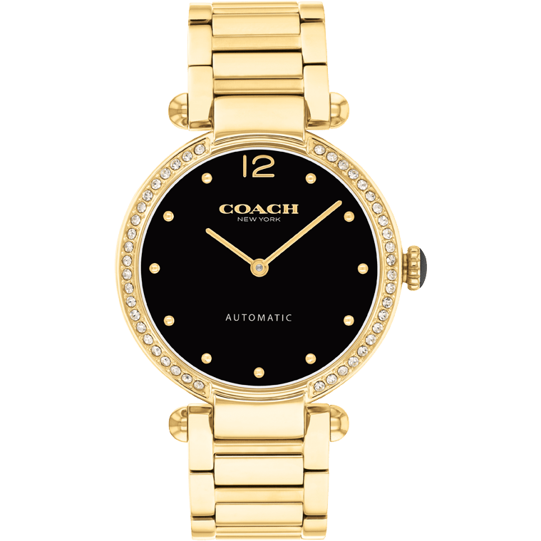 Ladies Cary Watch (14504579)