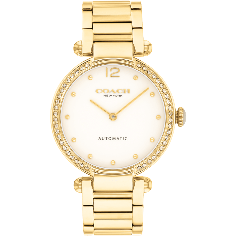 Ladies Cary Watch (14504580)