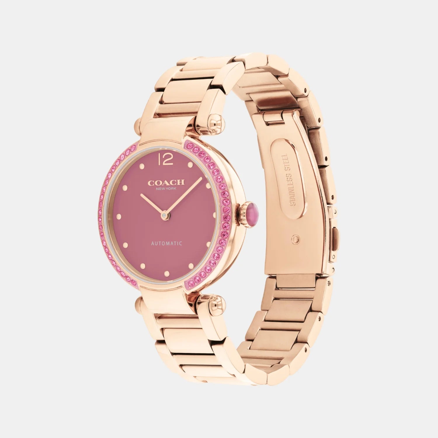 Ladies Cary Watch (14504581)