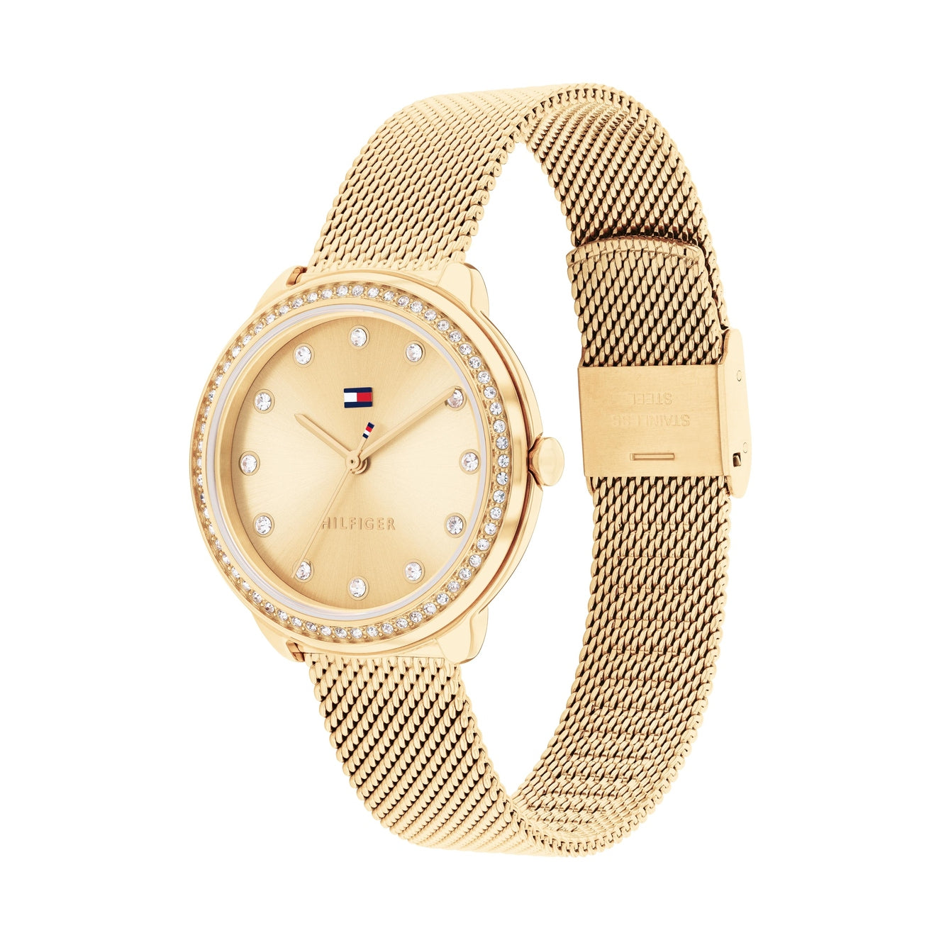 Ladies Demi Watch (1782699)