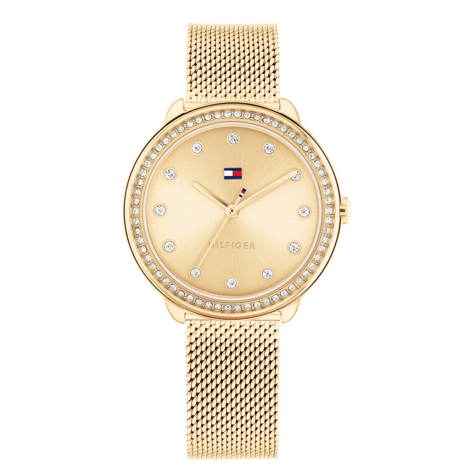 Ladies Demi Watch (1782699)