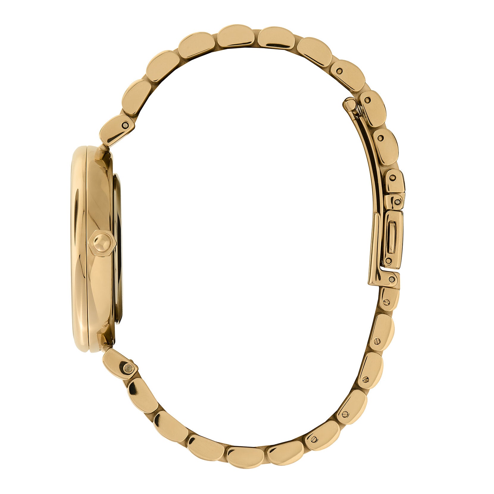 Ladies Signature Watch (24000089)
