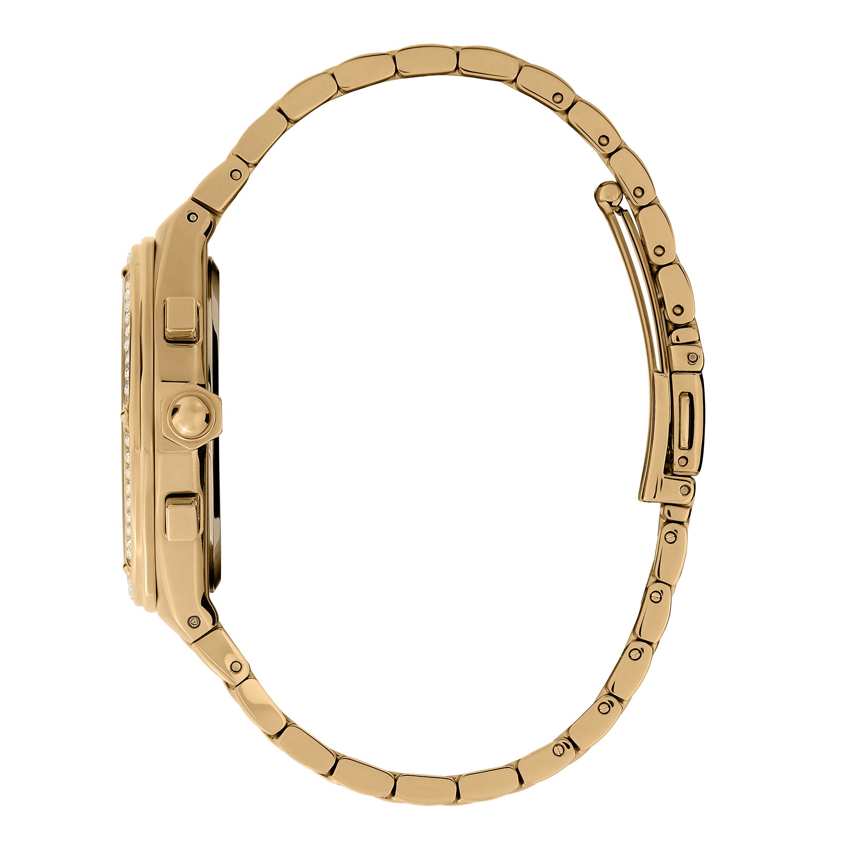 Ladies Sports Luxe Watch (24000103).