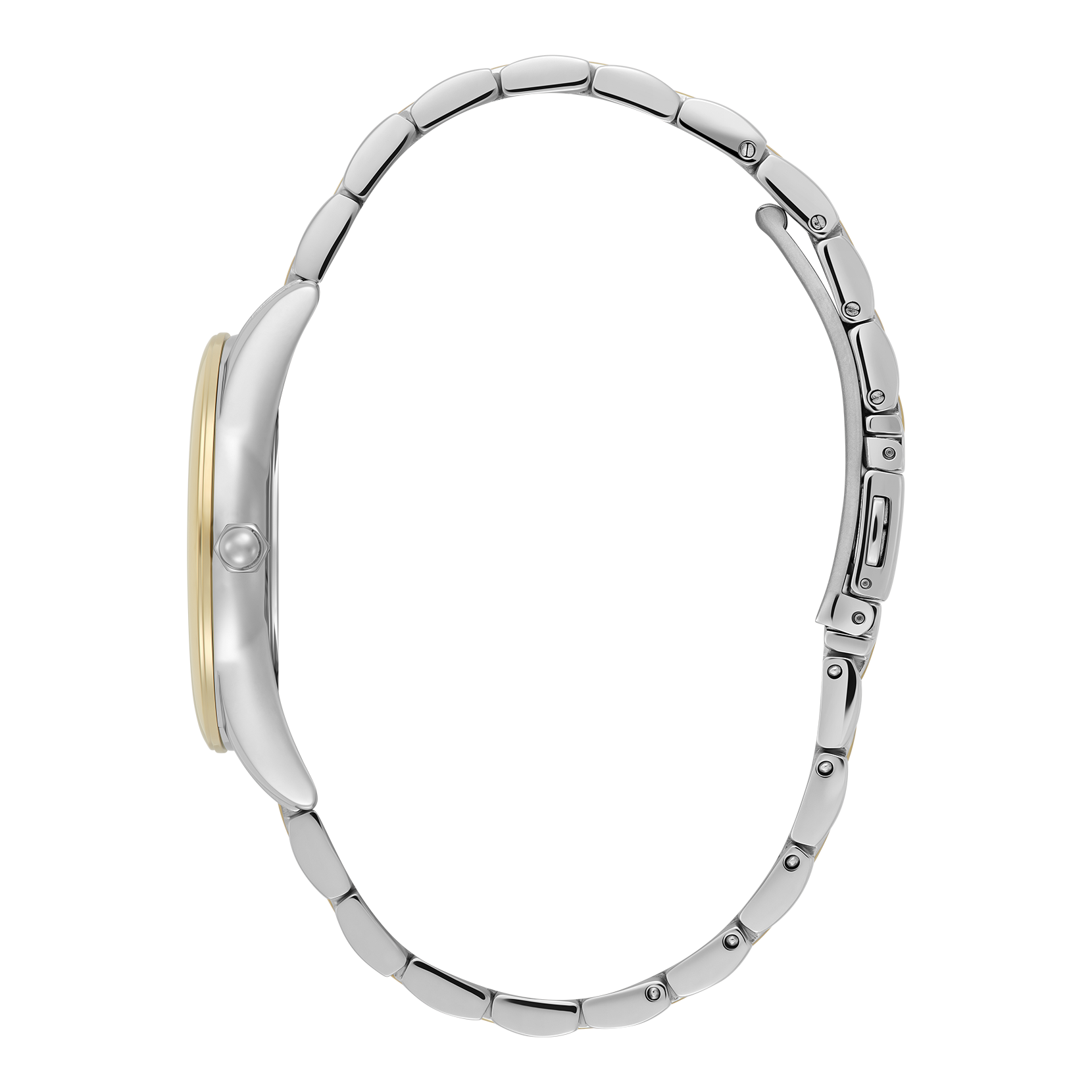 Ladies Modern Classics Intensity Watch (24000239)