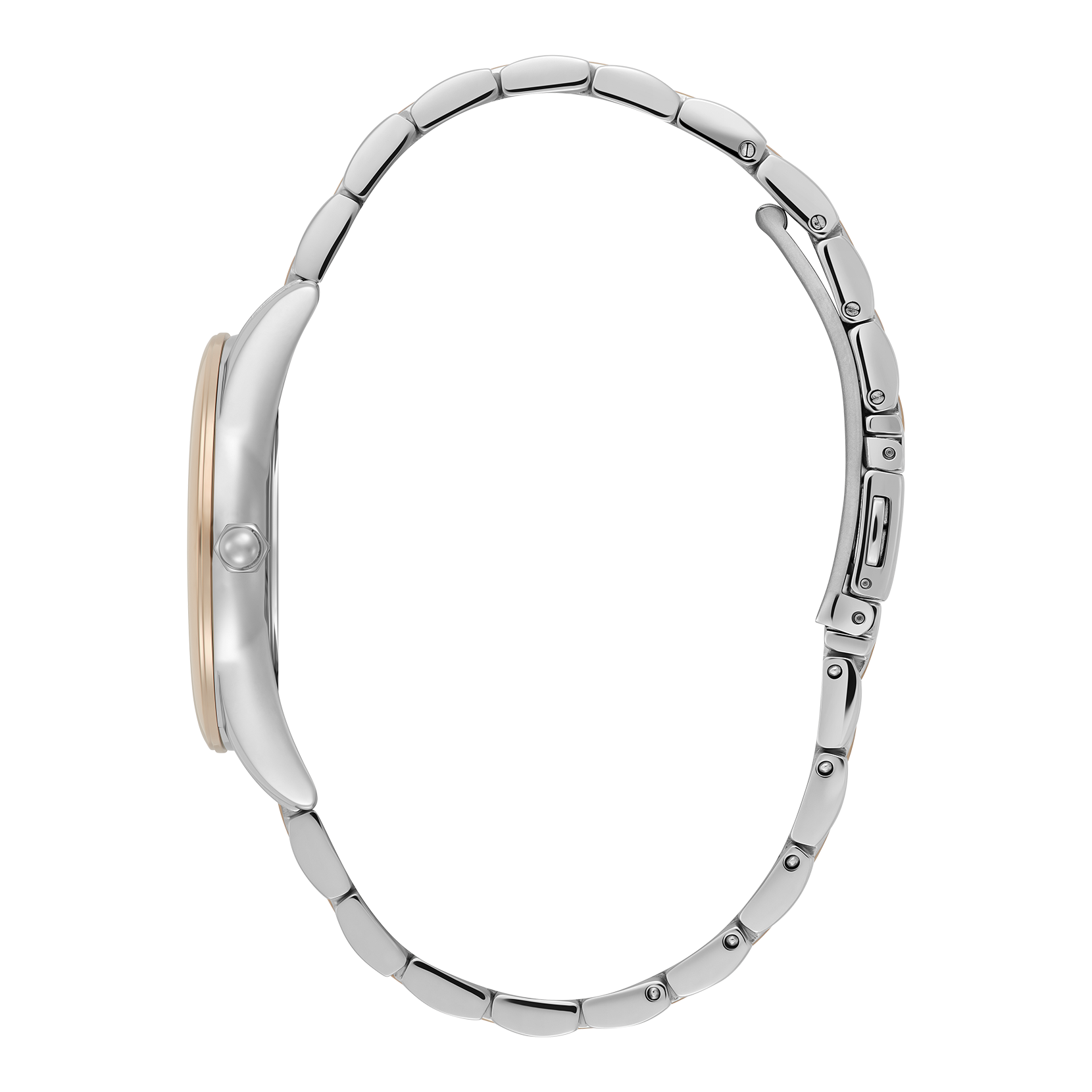 Ladies Modern Classics Intensity Watch (24000240)