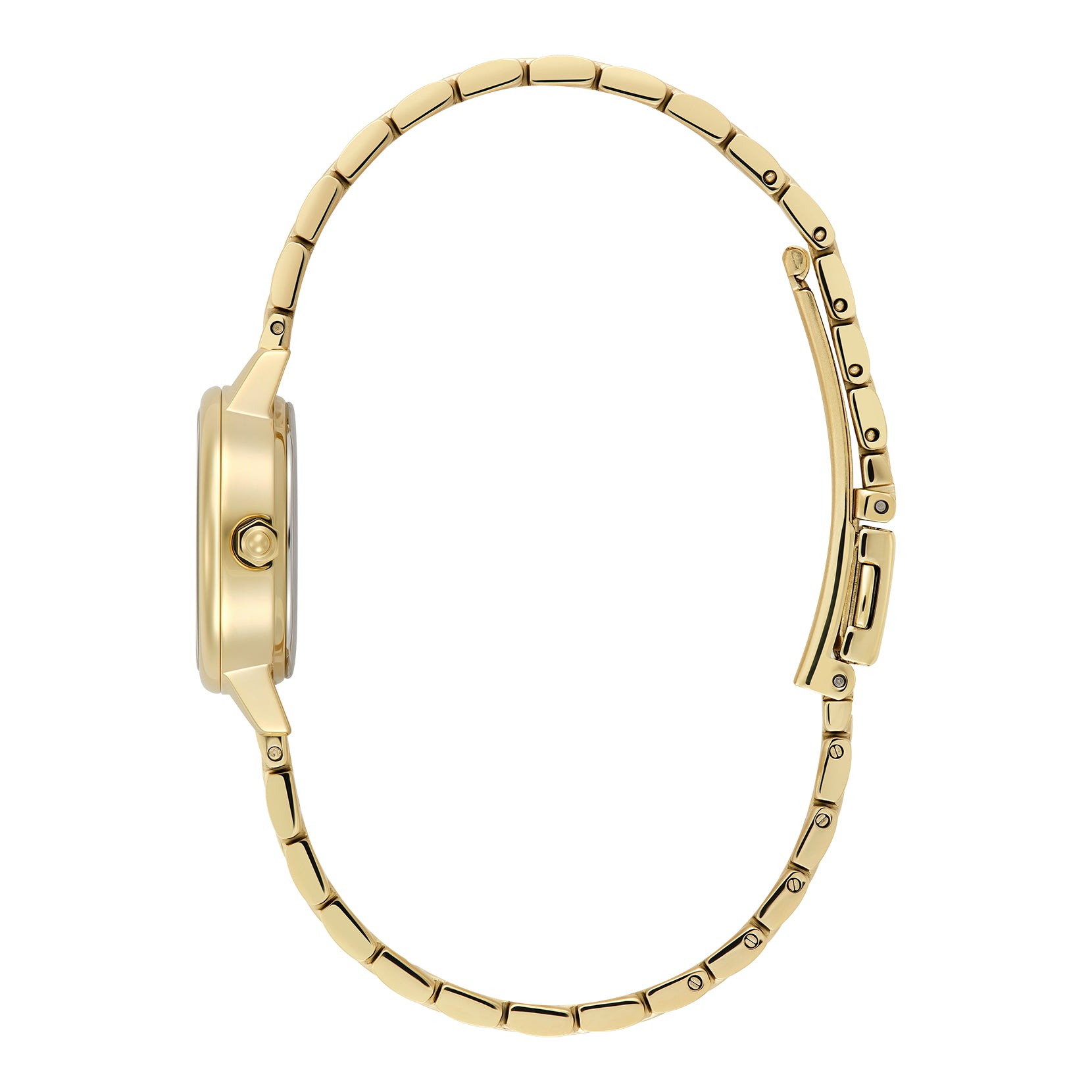 Ladies Modern Classics Mini Classic Watch (24000242)