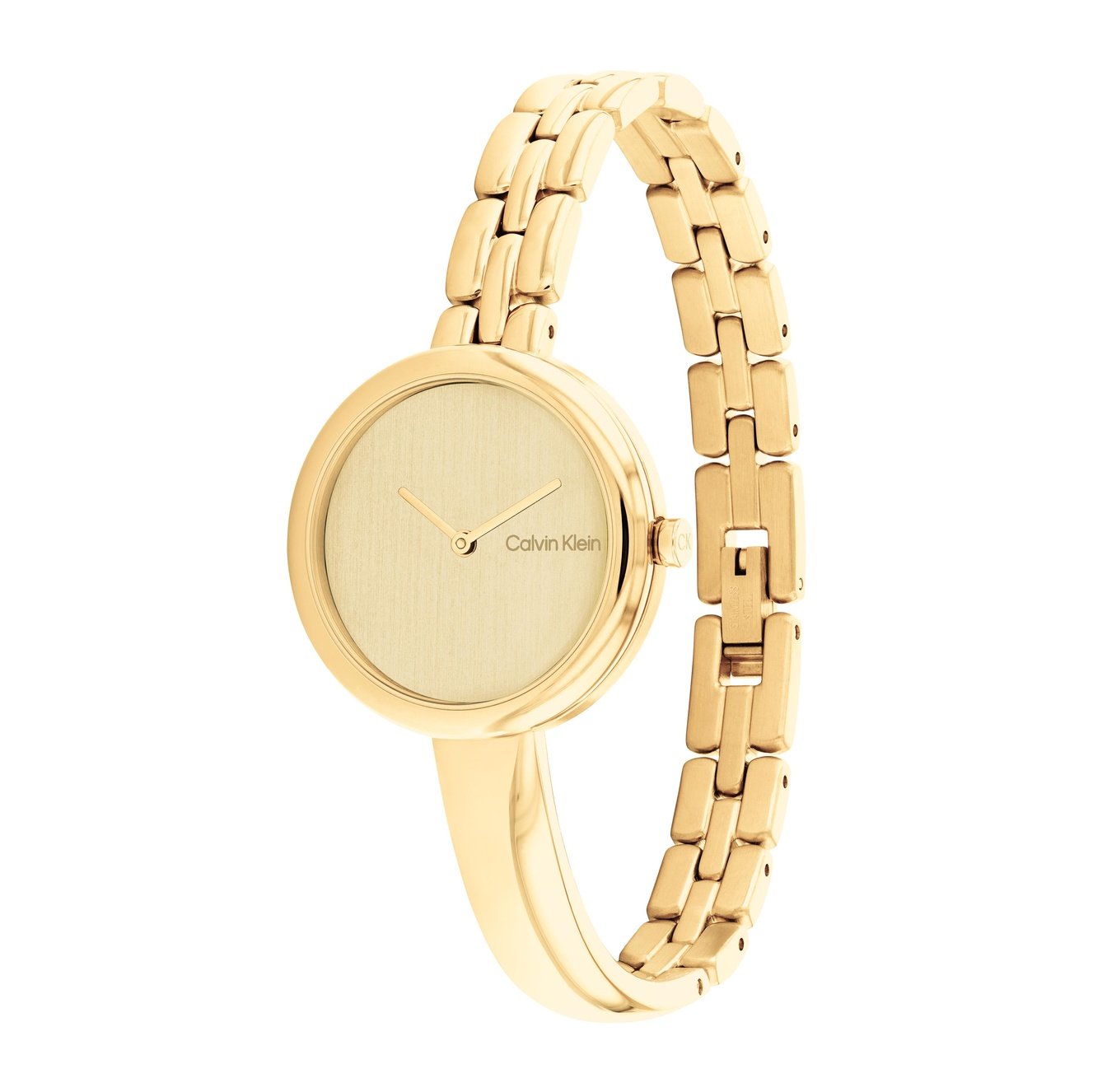 Ladies Bangled Watch 25200279