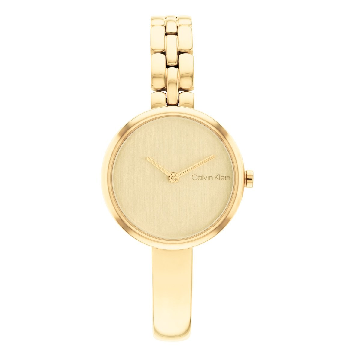Ladies Bangled Watch 25200279
