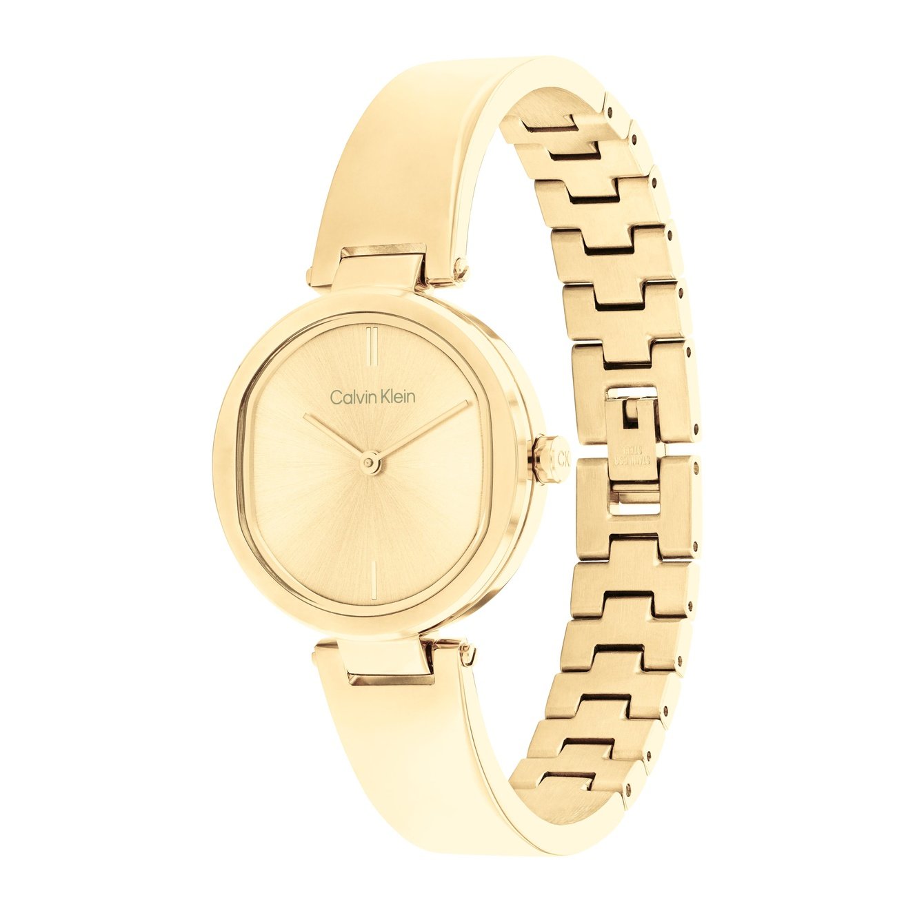 Ladies Elevated Watch 25200309
