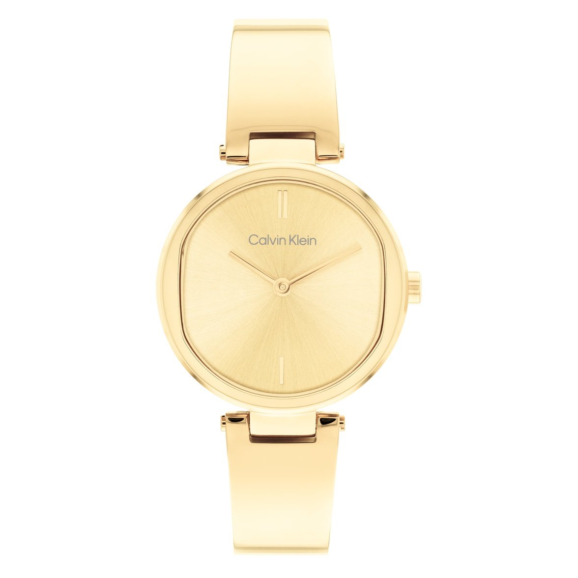 Ladies Elevated Watch 25200309