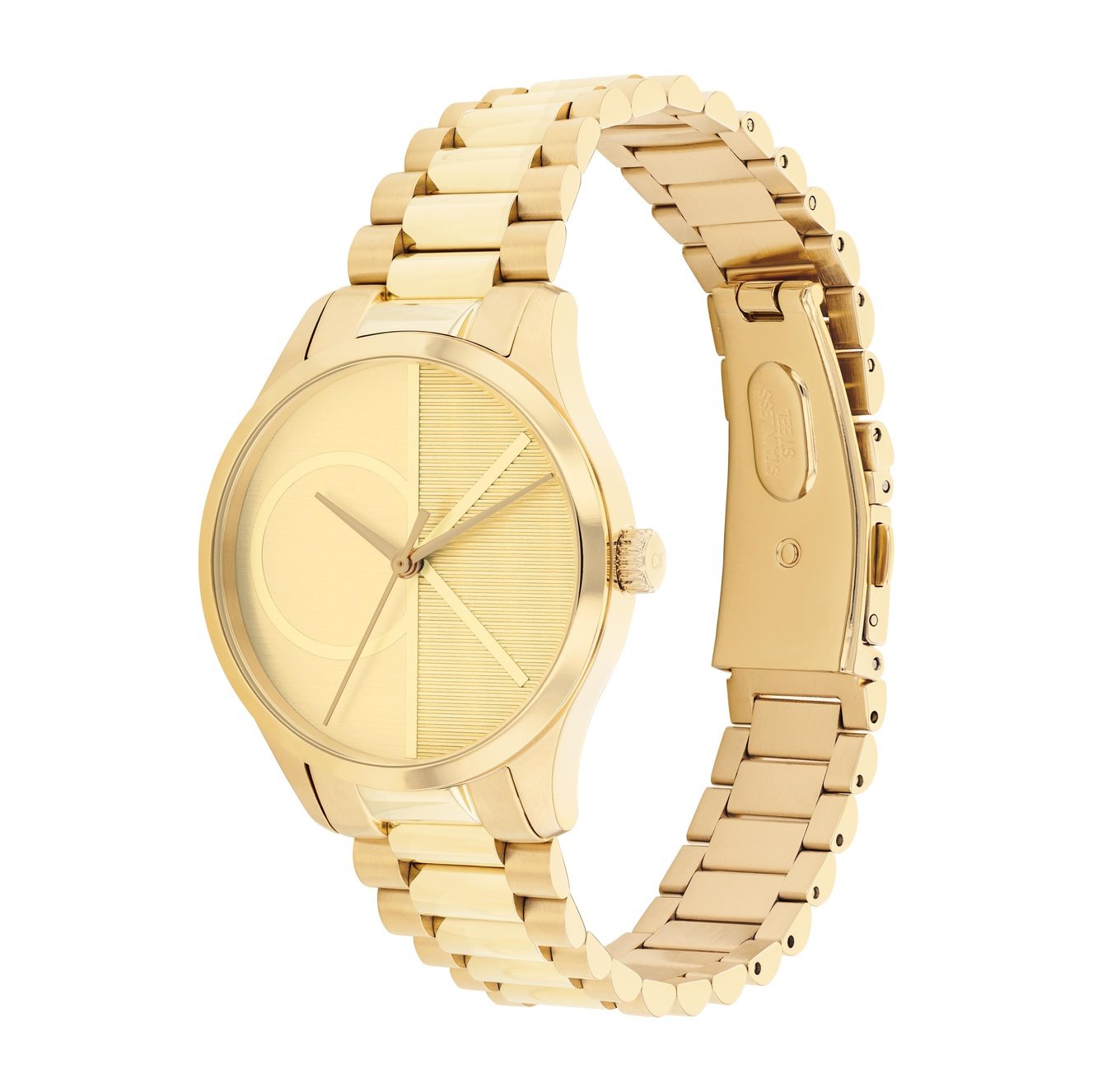 Ladies Ck Iconic Watch (25200346)