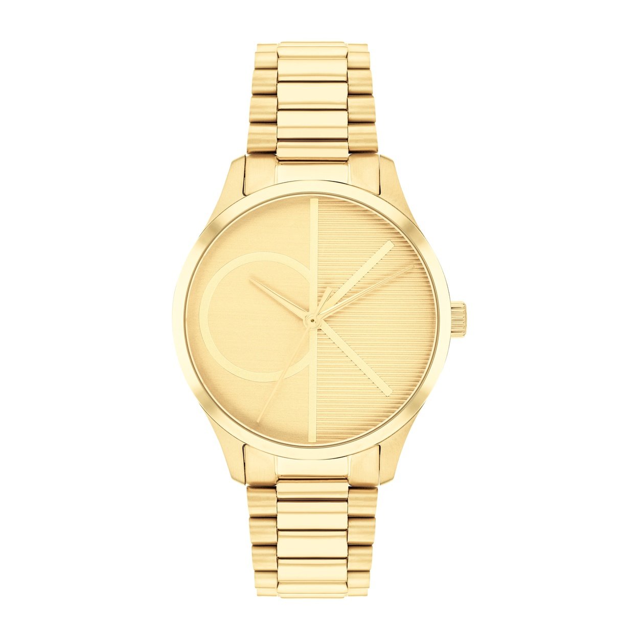 Ladies Ck Iconic Watch (25200346)