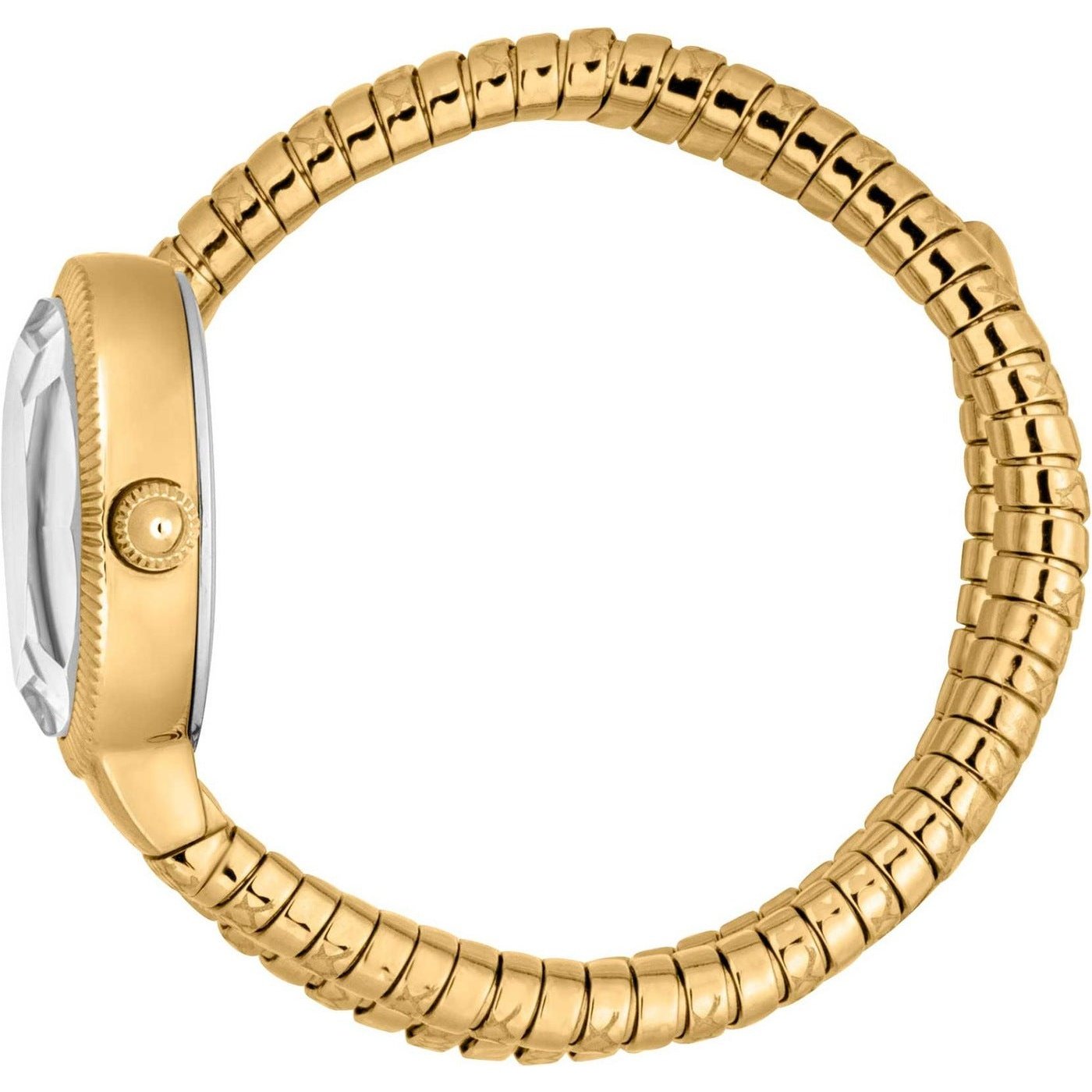 Ladies Ardea Watch (JC1L268M0035)