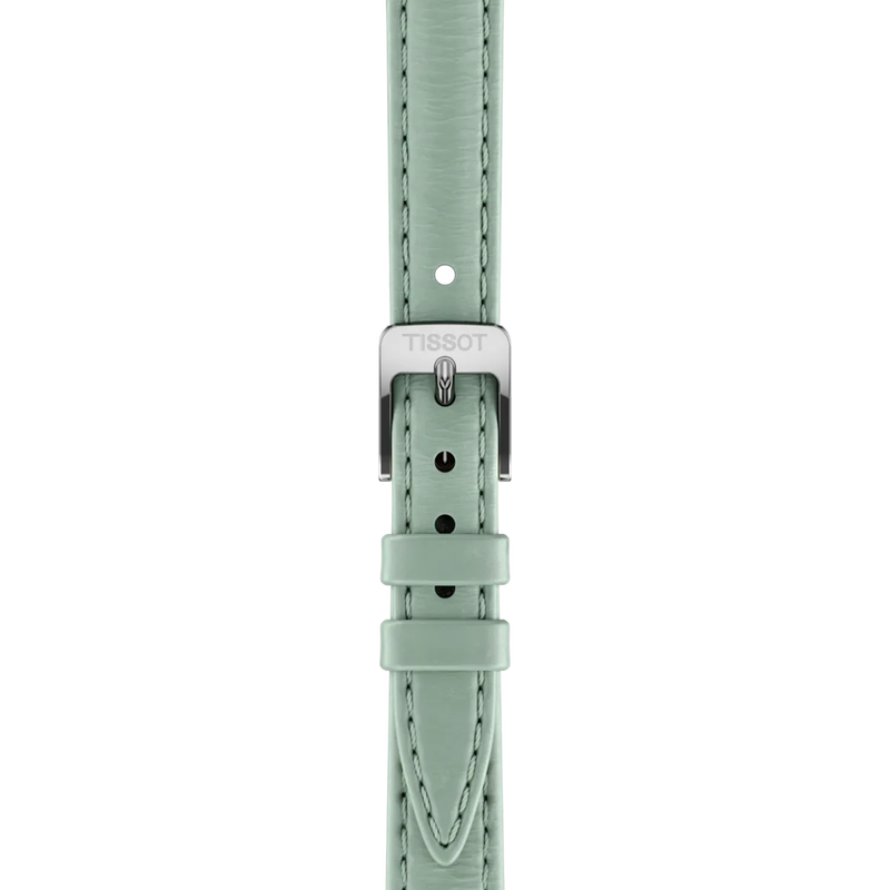 Ladies Watches (T1601101609300)