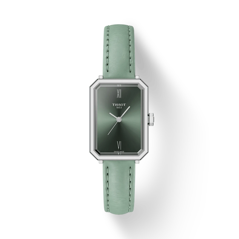 Ladies Watches (T1601101609300)